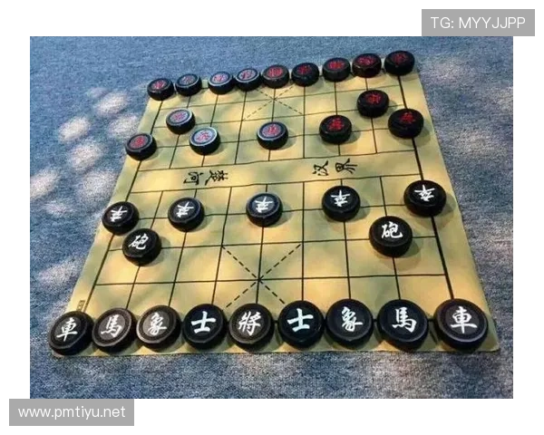 围绕象棋问题所找到的回答是否存在毛病的讨论分析与辨析视角