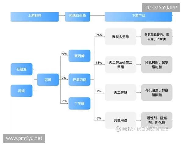 C体育全景解析：赛事报道、运动员风采与未来发展趋势